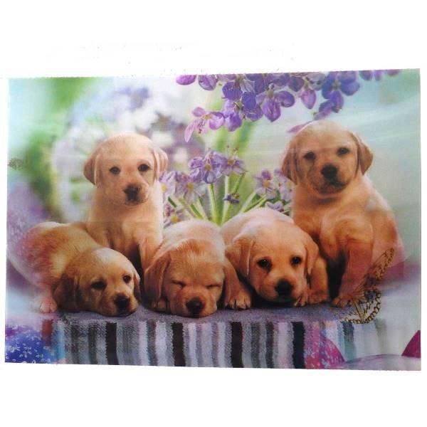 ３d絵 犬 Aタイプ 壁掛け 絵 絵画 額 美術品 イヌ いぬ E01doga3d D2 開運風水ドットコム ヤフー店 通販 Yahoo ショッピング