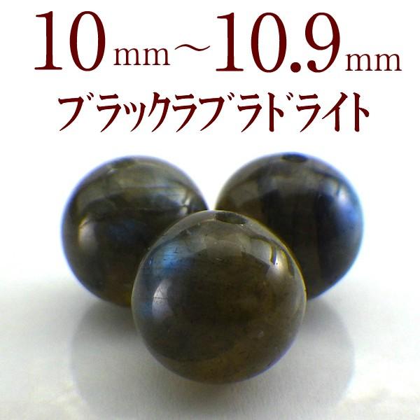 p[Xg[ uhCg VR o ꗱ ۋ ANZT[ nhCh p[c r[Y ( uhCgo 10`10.9mm )