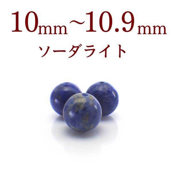 p[Xg[ \[_Cg VR r[Y o ꗱ ۋ ANZT[ nhCh p[c |Cg ( \[_Cg o 10`10.9mm )