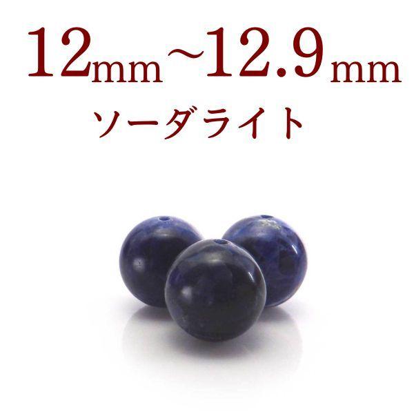 p[Xg[ \[_Cg VR r[Y o ꗱ ۋ ANZT[ nhCh p[c |Cg ( \[_Cg o 12`12.9mm )