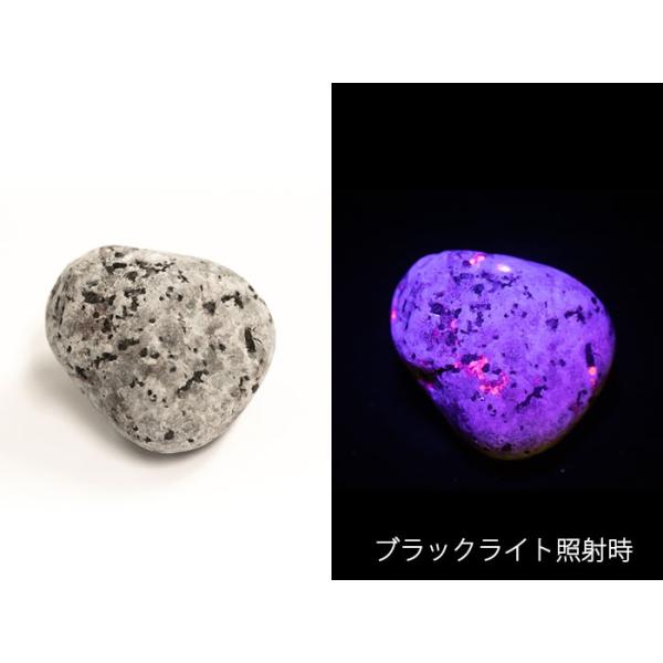 kouyuu_yooperlite54g