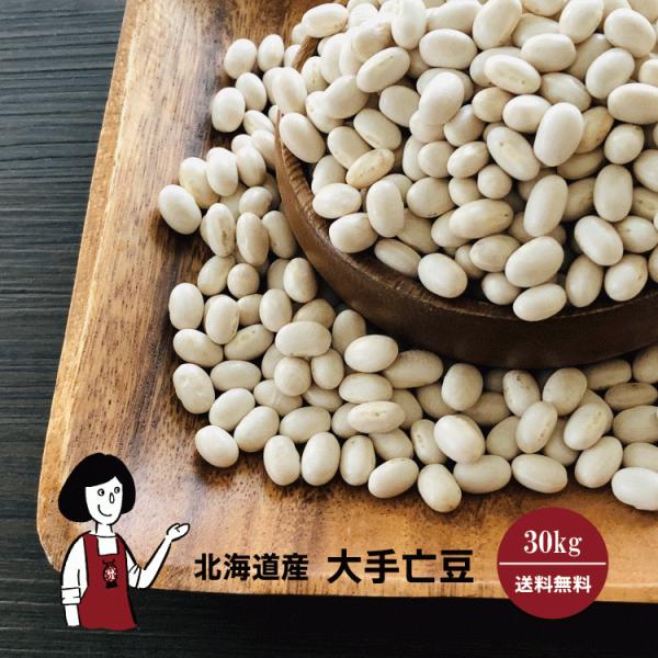 北海道産 大手亡豆 30kg / 業務用サイズ