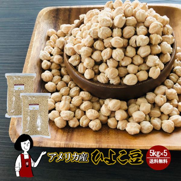 ひよこ豆 5kg×2 計10kg / チャック付 ガルバンゾー