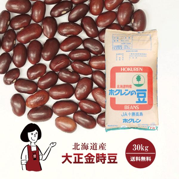 大正金時豆 30kg / 業務用サイズ