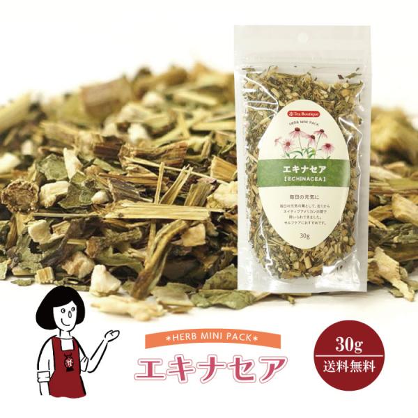 エキナセア 30g / チャック付 : こわけや - 通販 - Yahoo!ショッピング