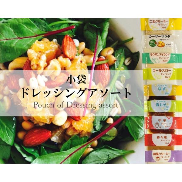 お弁当用小袋ドレッシングアソート 9種類 2袋 18袋入 ポイント消化 Buyee Buyee Japanese Proxy Service Buy From Japan Bot Online