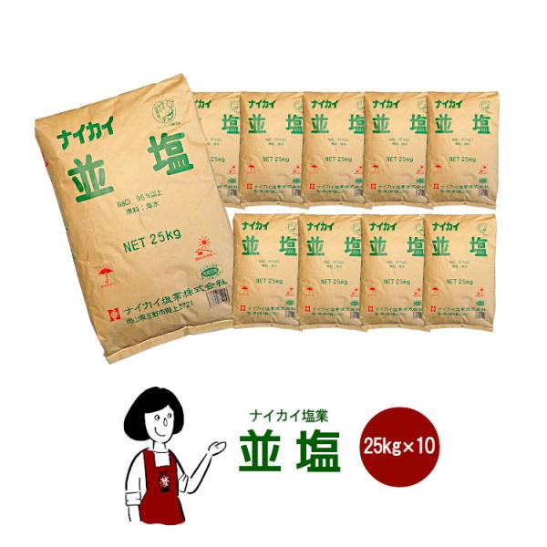 ナイカイ塩業 並塩 25kg