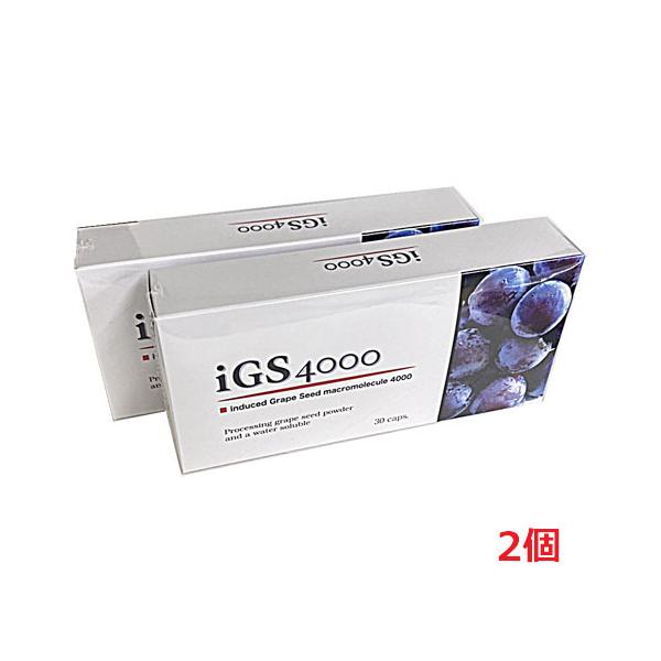 フィジカル iGS4000は真芽ブドウ種子成分をより多く配合しております。さらに、アメリカニンジン抽出物、アルファリポ酸、タマネギ外皮抽出物（ケルセチン）、ニコチン酸アミド（ナイアシン）などGSPPには配合されていない成分を含んでおります。