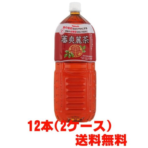 「蕃爽麗茶」を毎日の食事とともに飲用することで、食後血糖値の上昇を抑制するとともに、空腹時血糖値も低下させます。果実のグァバはフルーツジュースなどでおなじみですが、その葉も古くから沖縄や台湾などで健康茶として飲用されています。