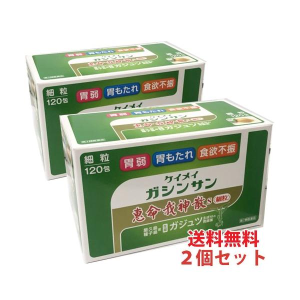 送料無料 恵命我神散Ｓ〈細粒〉120包×2個【第2類医薬品】