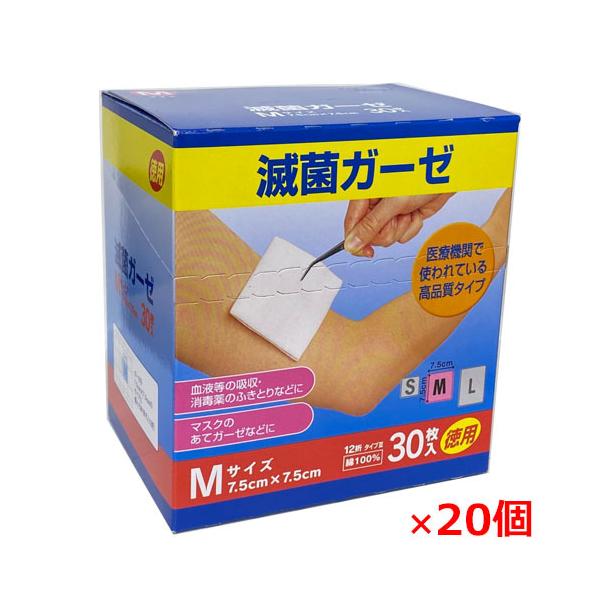 y20ZbgzŋۃK[[EMTCY30×20 i75mm×75mm)100