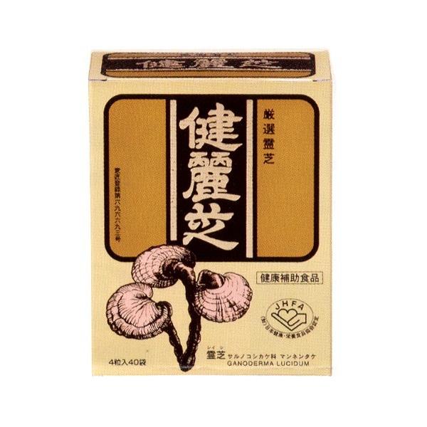 霊芝 健麗芝 4粒×40包 : ヘルスケア コヤマ - 通販 - Yahoo!ショッピング