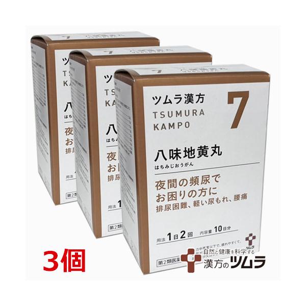 疲れやすくて、四肢が冷えやすく、尿量減少又は多尿で、ときに口渇があるものの次の諸症：下肢痛、腰痛、しびれ、かすみ目、かゆみ、排尿困難、残尿感、夜間尿
