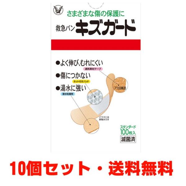 y10Zbgz吳LYK[h100×10 yË@z