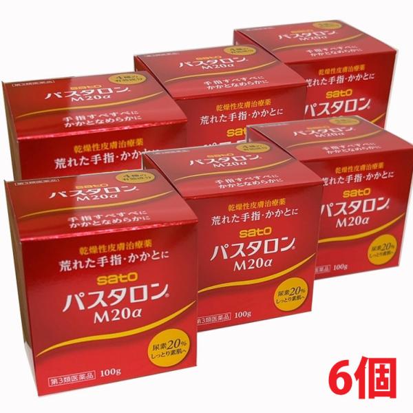 【6個】【第3類医薬品】乾燥性皮膚治療薬 パスタロンM20α 100g×6個