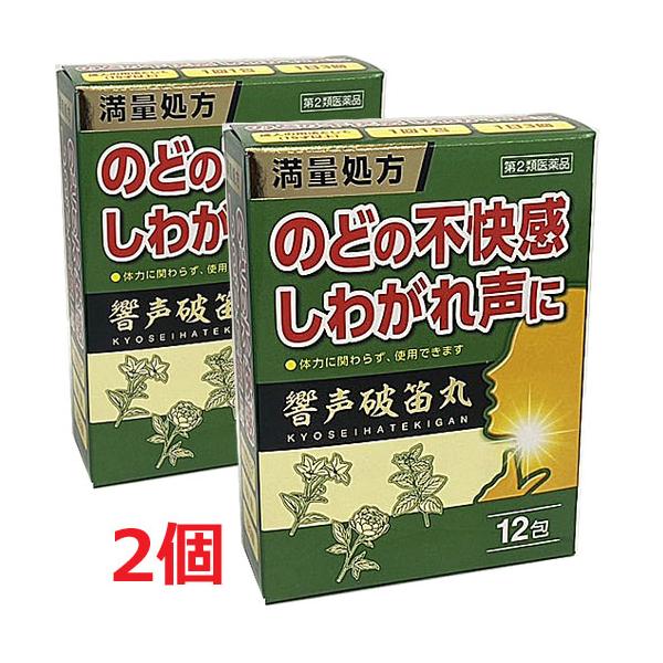 主な対応症状は…のどの不快感響声破笛丸は、声の出し過ぎなどによる、しわがれ声やのどの不快感におすすめの処方です。体力にかかわらず使用できます。その他の対応症状は…しわがれ声