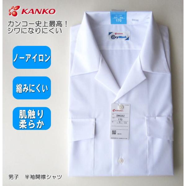 koyama_dw4382