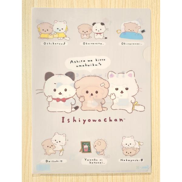 San-X（サンエックス） 2025年9月・いしよわちゃん クリアホルダー