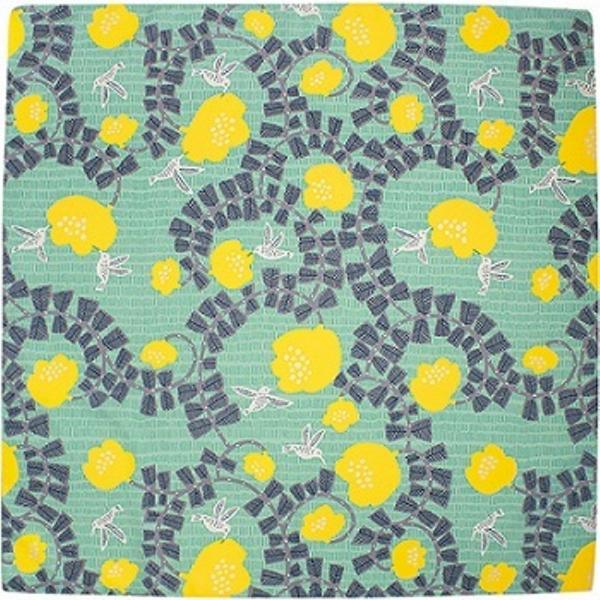 ނ C~ 70cm ͂ n`h O[@11܂Ł@䂤[