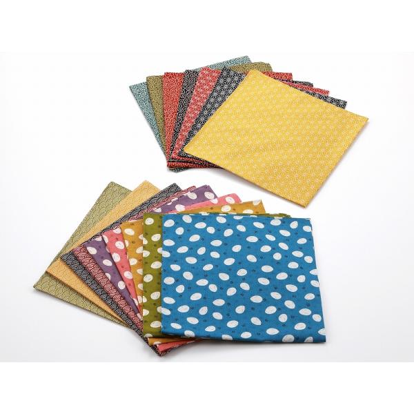 ` ڎO C~  ӂ낵 50cm  ̗t  Cg { S16^Cv sy-185