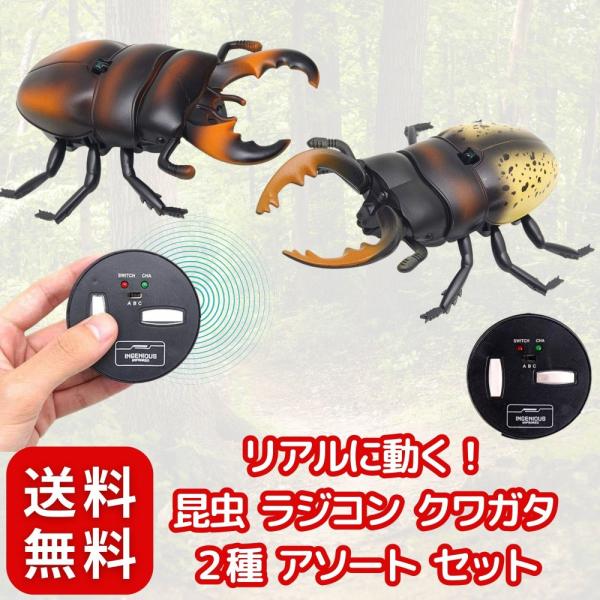 まるで本物!リアルに動く!】 昆虫 ラジコン クワガタ 2種 アソート