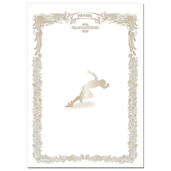 jbNX }`SP̑  X|[cڕʏ܏p  FD13-91