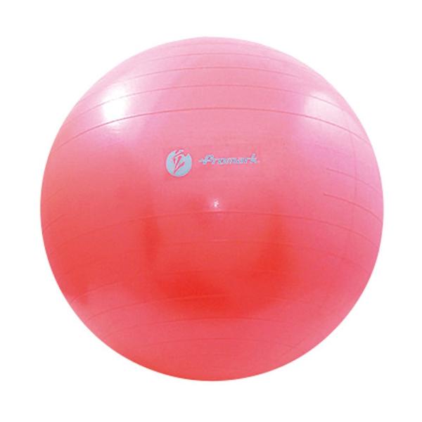 v}[N PROMARK tBbglX̑  oX{[@x2@65cm TPT0268