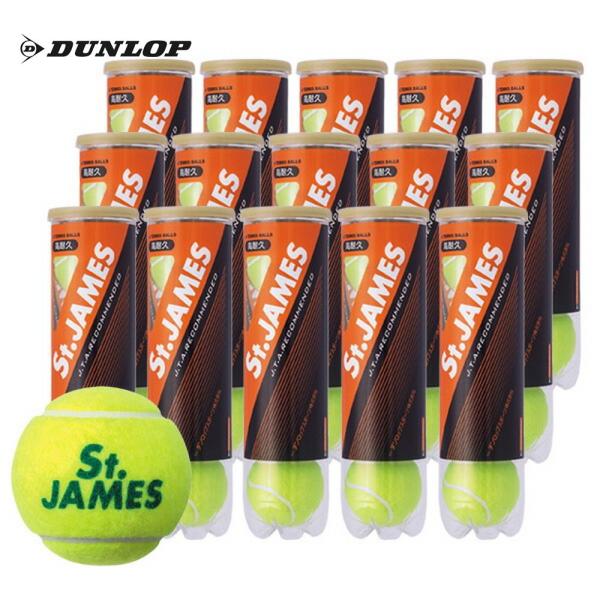 テニスボール ダンロップ 60球の人気商品・通販・価格比較 - 価格.com