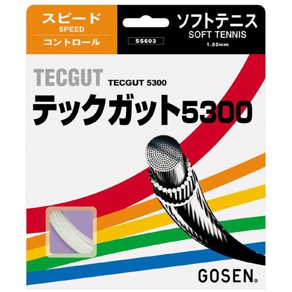 u5ZbgvGOSEN S[Z uebNKbg5300vss603\tgejXXgO Kbg