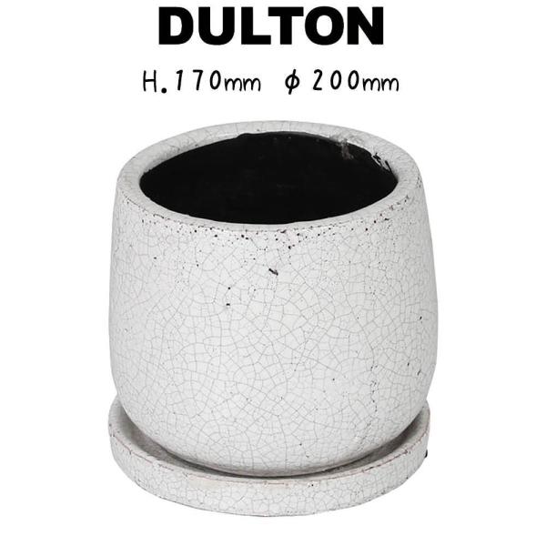 ダルトン 植木鉢 - 鉢の人気商品・通販・価格比較 - 価格.com ダルトン 植木鉢 - 鉢の人気商品・通販・価格比較 - 価格.com