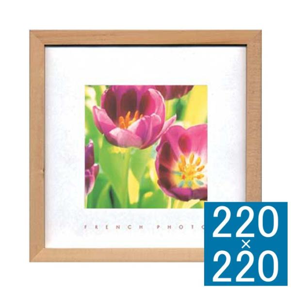 A[gpl tHgpl ؐ A[gt[ ʐ^ Ǌ|CeA Ǌ|A[g ʐ^pl 킢   `[bv