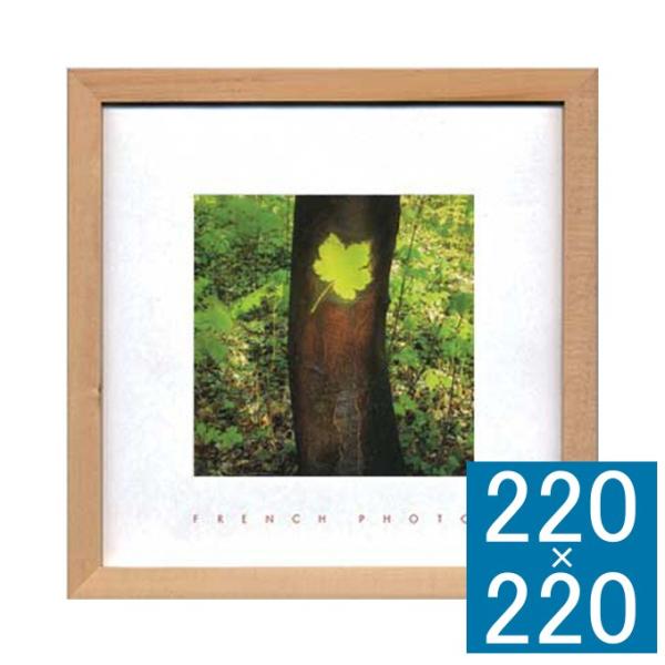 tHgA[gt[ A[gt[ t[ Ǐ z Ǌ|CeA Ǌ|A[g t[A[g CeAt[ ʐ^  k