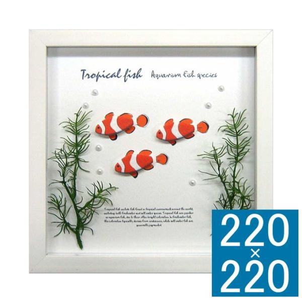 A[gt[ t[ Ǐ z Ǌ|CeA Ǌ|A[g t[A[g fBXvCt[ CeAt[    k