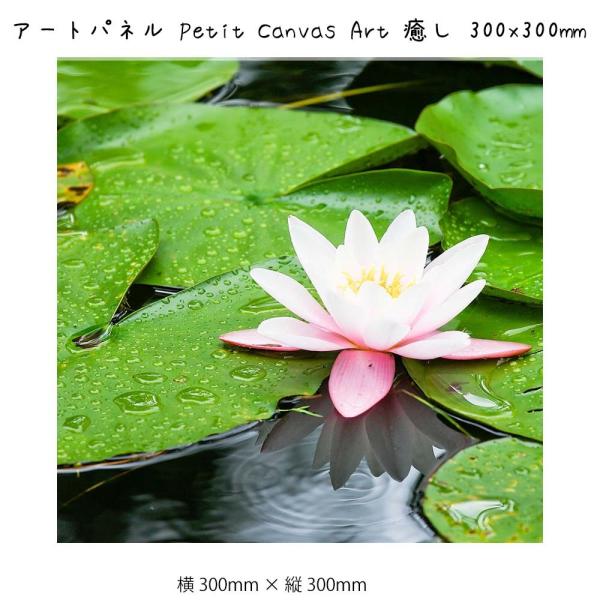 A[gpl Petit Canvas Art Ǌ| G 300mm×c300mm Ǐ z |X^[ t[ pl   LO Mtg 킢