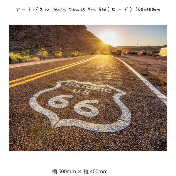 A[gpl Petit Canvas Art Ǌ| G 500mm×c400mm Ǐ z |X^[ t[ pl   LO Mtg 킢