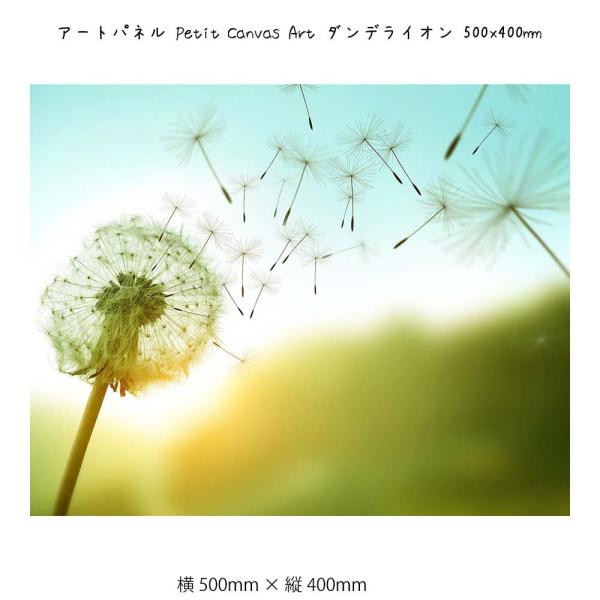 A[gpl Petit Canvas Art Ǌ| G 500mm×c400mm Ǐ z |X^[ t[ pl   LO Mtg 킢