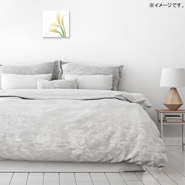 アートパネル Petit Canvas Art White Calla/絵/絵画 アートポスターのインテリアのイメージです。