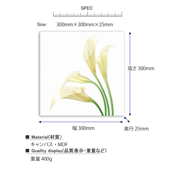 アートパネル Petit Canvas Art White Calla/絵/絵画 アートポスターのサイズと素材です。