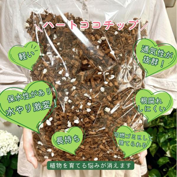 【ハートココチップ】ココヤシチップと日向軽石を当店でブレンドした、ハートココチップです。空気をたくさん含むので、観葉植物の根枯れを防ぎ、根を強いします。軽量ですので、ハンギングや大きな鉢に使用する事で重量を抑えることができます。排水性が良い...