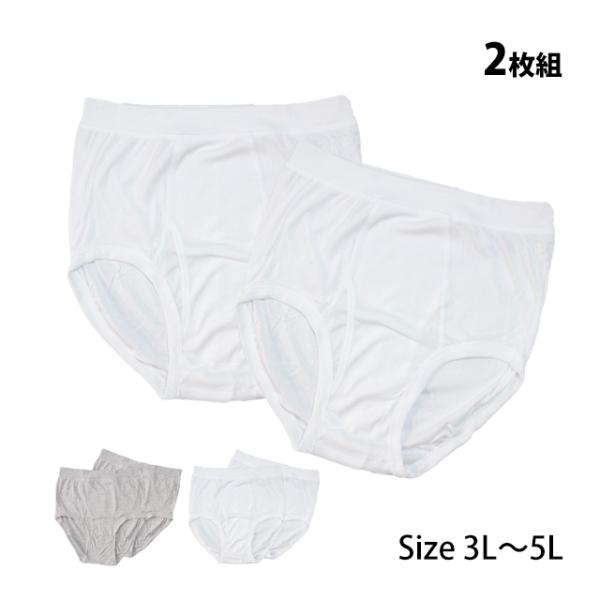 肌着 ブリーフ 2枚組 メンズ 男性 下着 綿100% 大きいサイズ インナー パンツ 大人 3L 4L 5L 6L