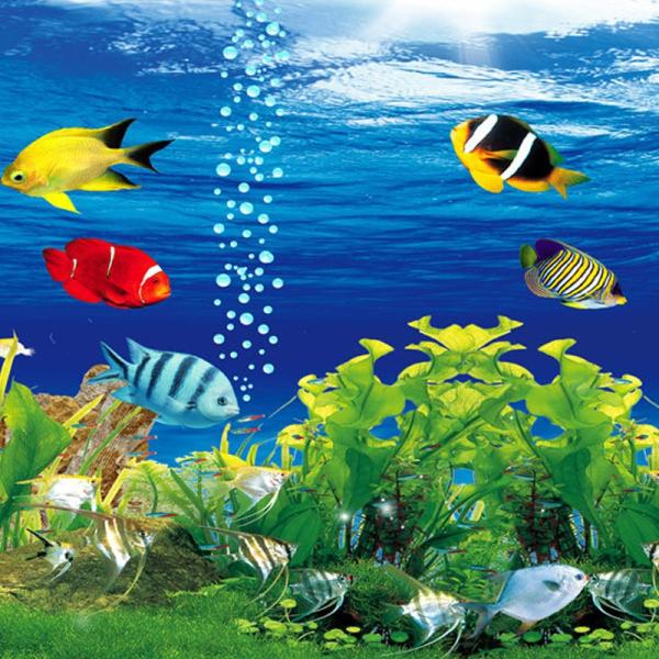 壁紙 ３d スピード対応 全国送料無料 1ピース 1m2 水族館デザイン 熱帯魚 海藻 リビング 寝室 防湿 インテリア 装飾 耐水 H