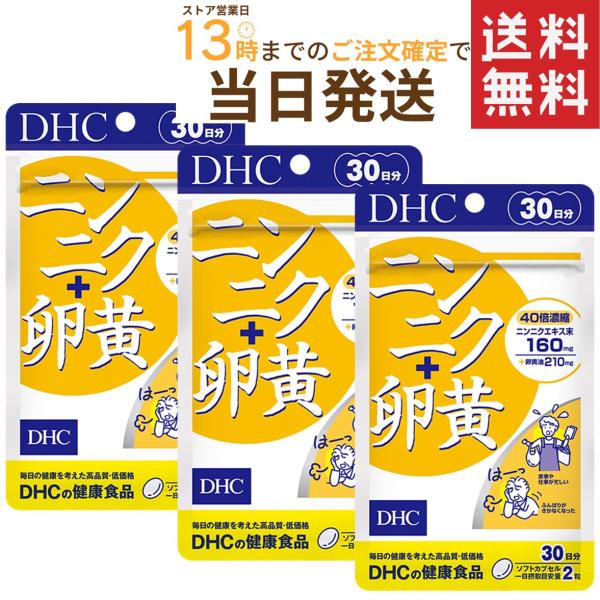 DHC ニンニク＋卵黄 30日分 60粒×3セット 送料無料