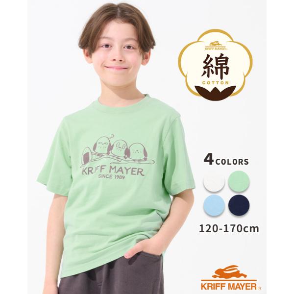クリフメイヤー キッズ KRIFF MAYER KIDS 子供服 半袖 トップス Tシャツ バックプリント 綿 コットン 小学生 中学生 2025SS 天竺 プリントT シマエナガ