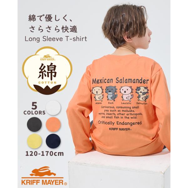 クリフメイヤー キッズ KRIFF MAYER KIDS Tシャツ バックプリント トップス 長袖 綿100 コットン 伸縮性 小学生 中学生 2026SS 楽LUCK ロンT ウーパールーパー