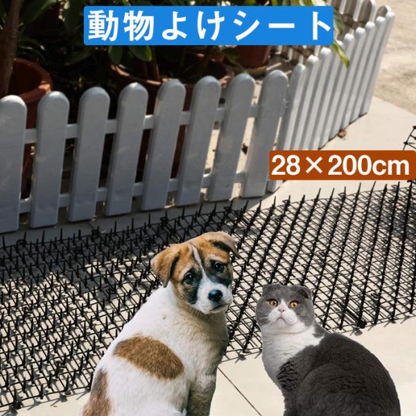 猫よけシート トゲシート 害獣対策グッズ ガーデン保護 黒 28 0cm Petsheet01 Krisonヤフーショップ 通販 Yahoo ショッピング