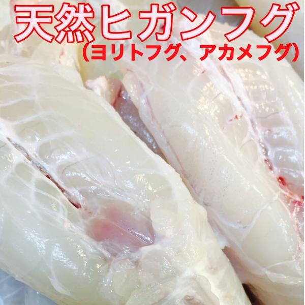 ヒガンフグ500g Buyee Buyee 日本の通販商品 オークションの代理入札 代理購入