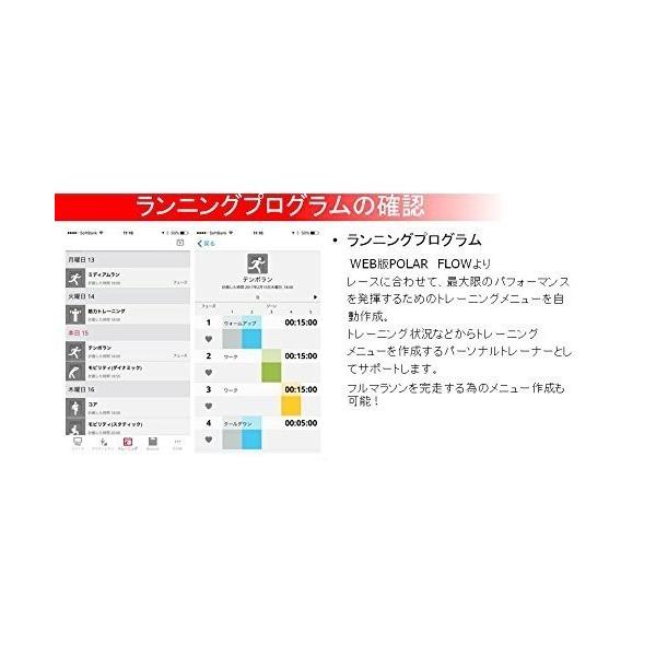 Polar ポラール 日本正規品 日本語対応手首型心拍計 Gpsランニングウォッチ M430 ブラック ブラック Www Blueproperty Es