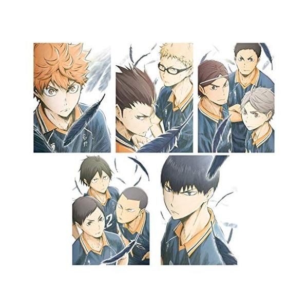 ハイキュー 烏野高校 Vs 白鳥沢学園高校 全巻セット Vol 1 5 Dvd Supersport Tn