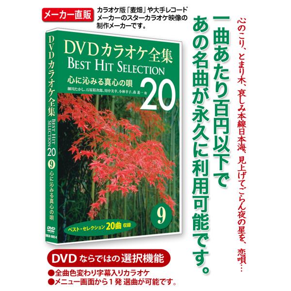 DVDカラオケ全集 9 心に沁みる真心の唄　Best Hit Selection 20