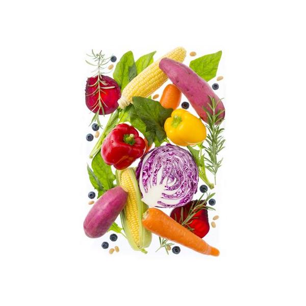 エコキッズ絵の具 野菜と果物と植物から作ったえのぐ Buyee 日本代购平台 产品购物网站大全 Buyee一站式代购 Bot Online